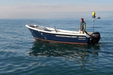 550 Pescador (standard)