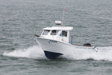 600 Pescador