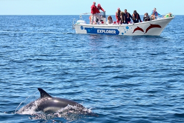 780 Pescador - Portitours - www.portitours.pt